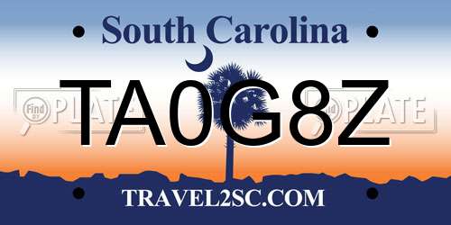 TA0G8Z South Carolina License Plate
