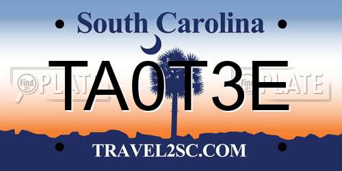 TA0T3E South Carolina License Plate