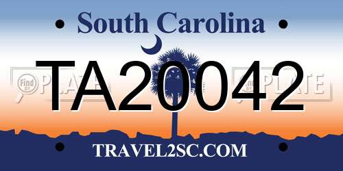 TA20042 South Carolina License Plate