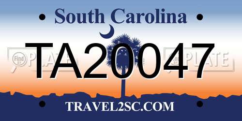 TA20047 South Carolina License Plate