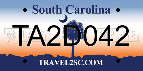TA2D042 South Carolina License Plate