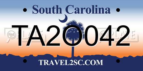 TA2O042 South Carolina License Plate