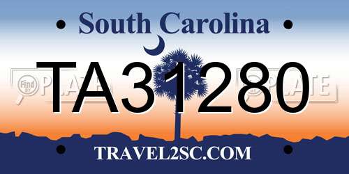 TA31280 South Carolina License Plate
