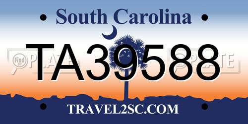 TA39588 South Carolina License Plate