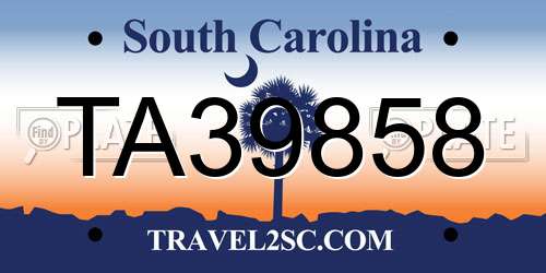 TA39858 South Carolina License Plate