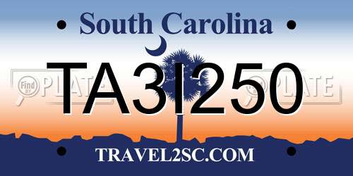 TA3I250 South Carolina License Plate