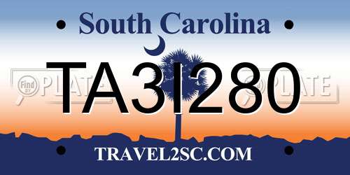 TA3I280 South Carolina License Plate
