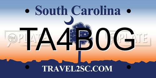 TA4B0G South Carolina License Plate