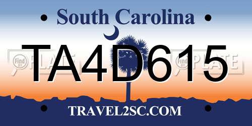 TA4D615 South Carolina License Plate