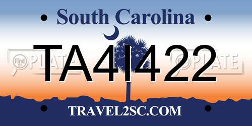 TA4I422 South Carolina License Plate