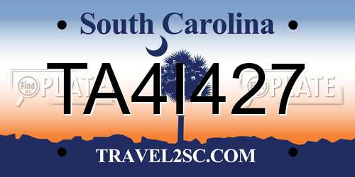 TA4I427 South Carolina License Plate