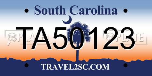TA50123 South Carolina License Plate