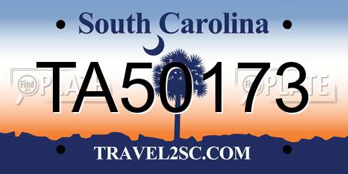 TA50173 South Carolina License Plate