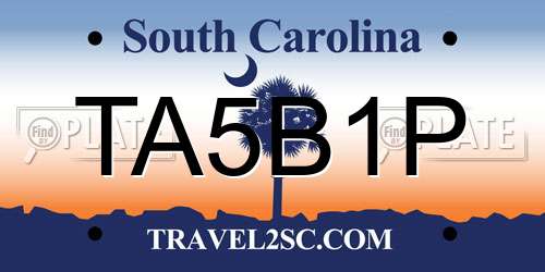 TA5B1P South Carolina License Plate