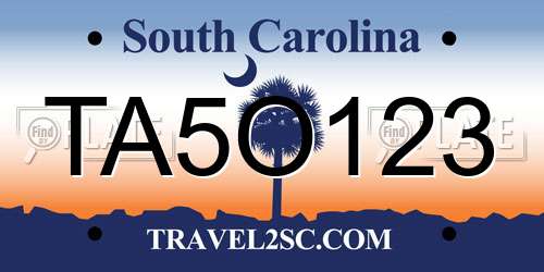 TA5O123 South Carolina License Plate