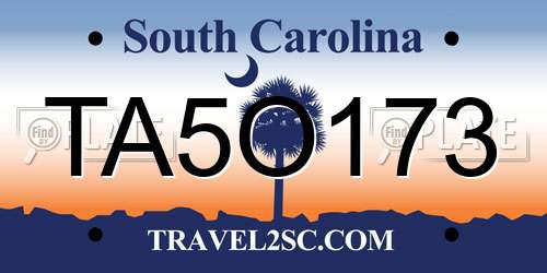 TA5O173 South Carolina License Plate