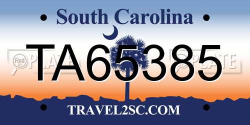 TA65385 South Carolina License Plate