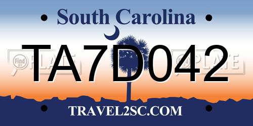 TA7D042 South Carolina License Plate