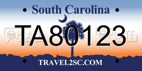 TA80123 South Carolina License Plate