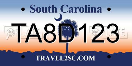 TA8D123 South Carolina License Plate