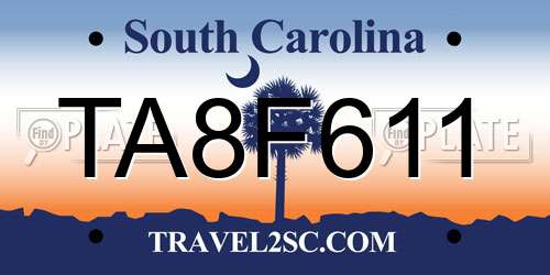 TA8F611 South Carolina License Plate