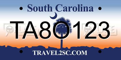 TA8O123 South Carolina License Plate