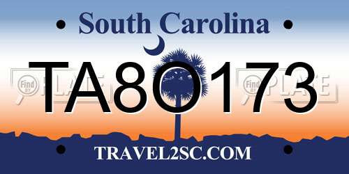 TA8O173 South Carolina License Plate