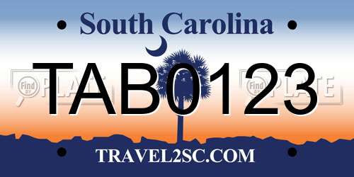 TAB0123 South Carolina License Plate