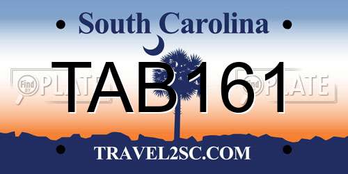 TAB161 South Carolina License Plate