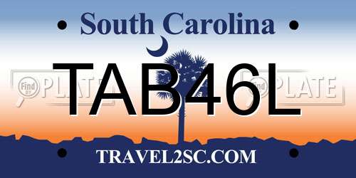 TAB46L South Carolina License Plate
