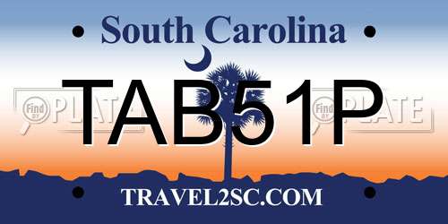 TAB51P South Carolina License Plate