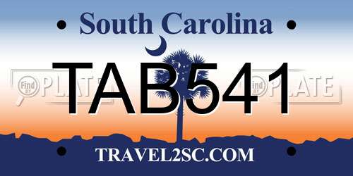 TAB541 South Carolina License Plate
