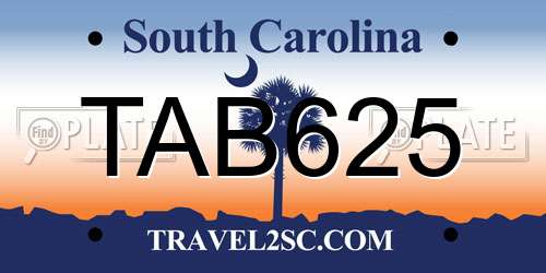 TAB625 South Carolina License Plate