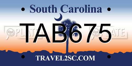 TAB675 South Carolina License Plate
