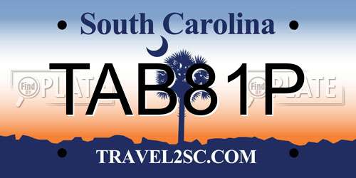 TAB81P South Carolina License Plate