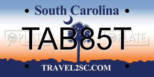 TAB85T South Carolina License Plate