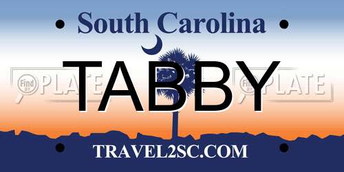 TABBY South Carolina License Plate