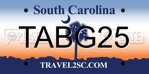 TABG25 South Carolina License Plate