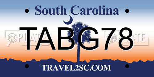 TABG78 South Carolina License Plate