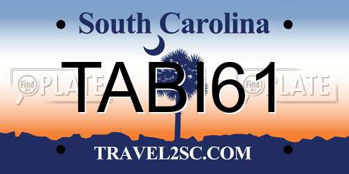 TABI61 South Carolina License Plate