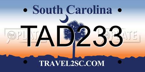 TAD233 South Carolina License Plate
