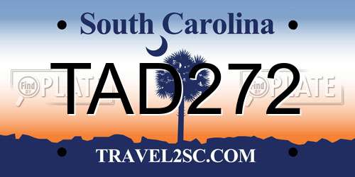 TAD272 South Carolina License Plate