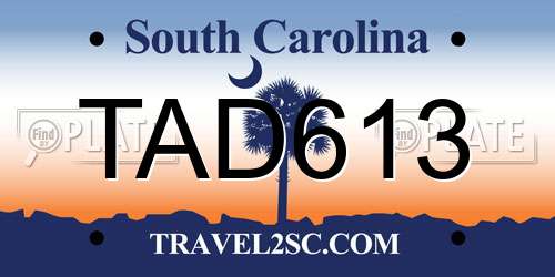 TAD613 South Carolina License Plate