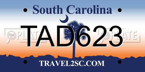 TAD623 South Carolina License Plate