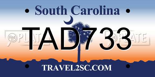 TAD733 South Carolina License Plate