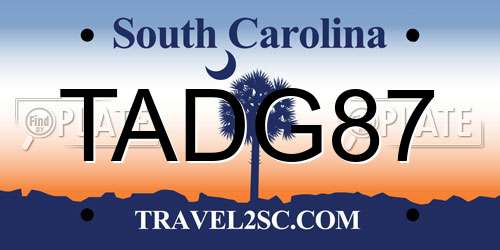 TADG87 South Carolina License Plate
