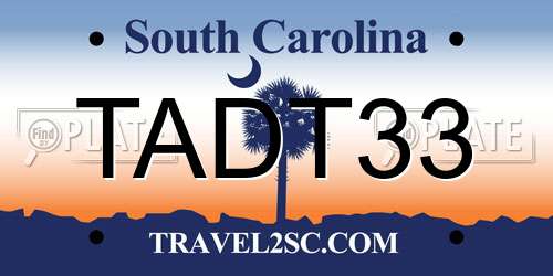TADT33 South Carolina License Plate