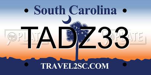 TADZ33 South Carolina License Plate