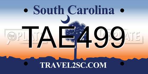 TAE499 South Carolina License Plate