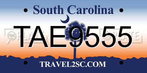 TAE9555 South Carolina License Plate